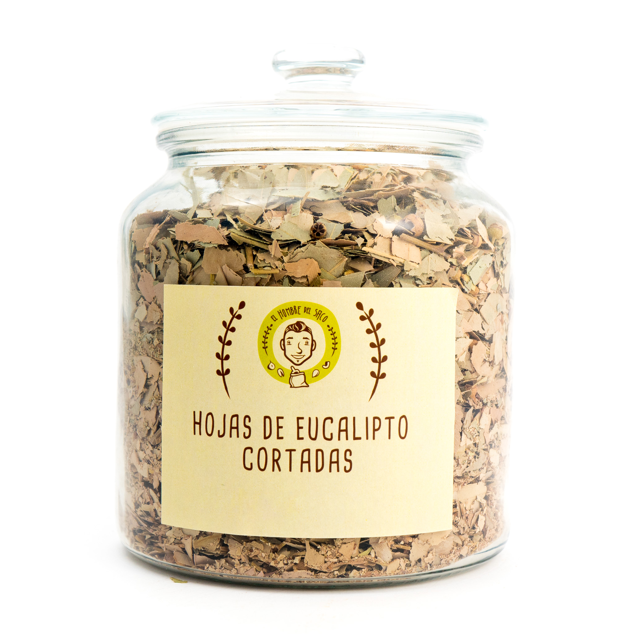 Hojas de eucalipto cortadas