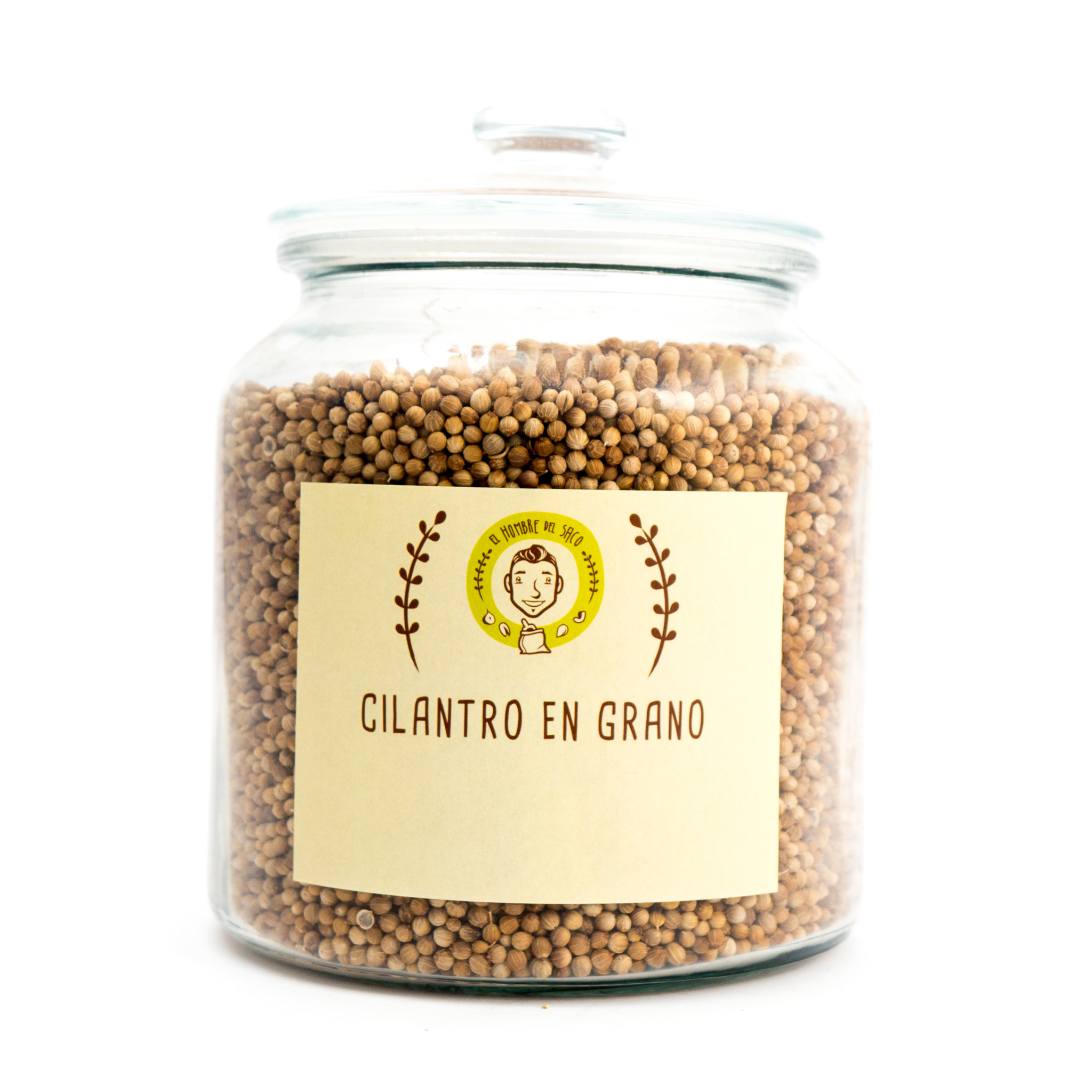 Cilantro en grano